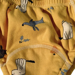 Potty Training Underwear