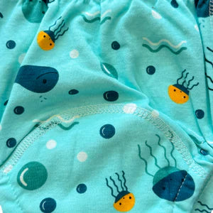 Potty Training Underwear