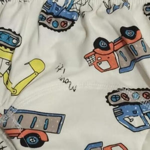 Potty Training Underwear